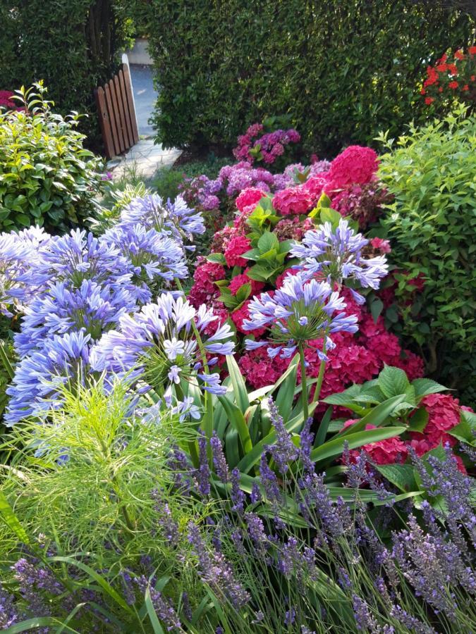 Sommervieu Les Puits Bessin Normandie מראה חיצוני תמונה