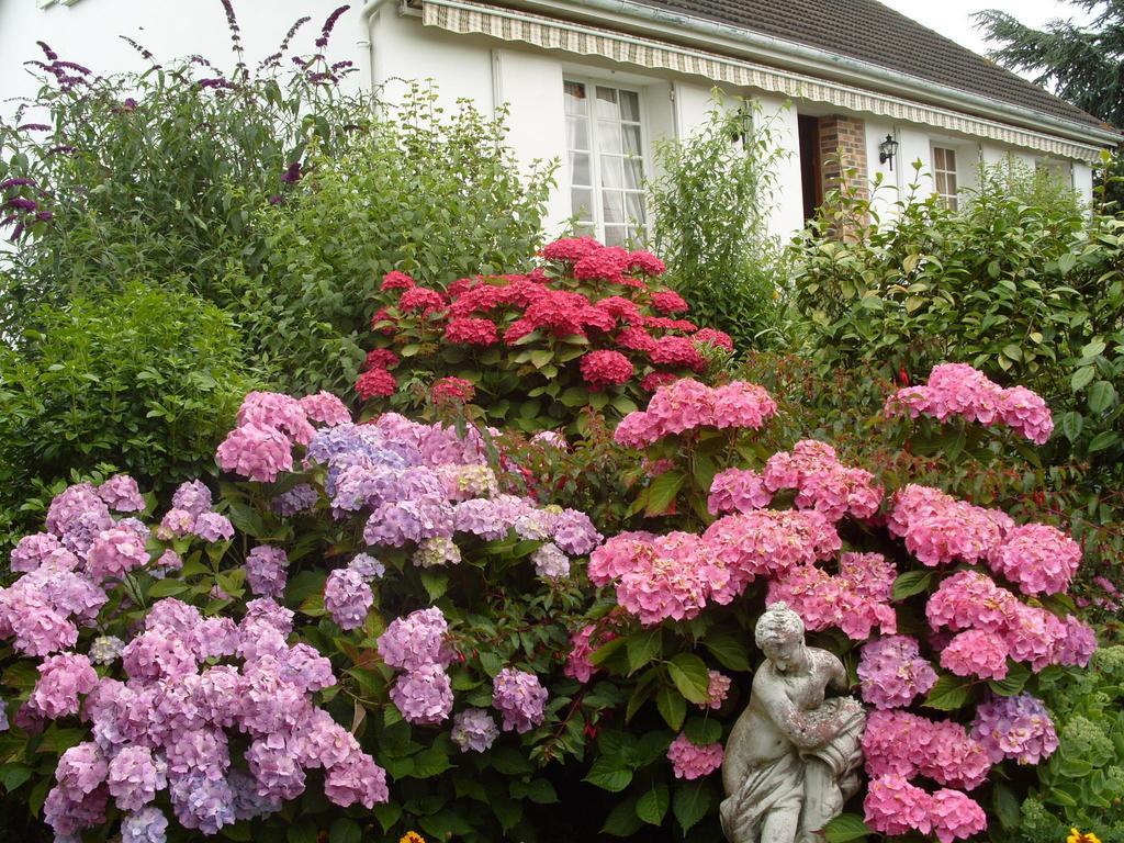 Sommervieu Les Puits Bessin Normandie מראה חיצוני תמונה