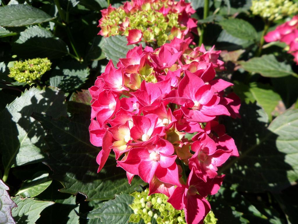 Sommervieu Les Puits Bessin Normandie חדר תמונה